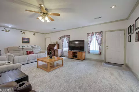 Other - 265 Evans Dr, Buchanan, GA 30113 photo 6 of 55