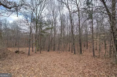 Other - 265 Evans Dr, Buchanan, GA 30113 photo 15 of 55