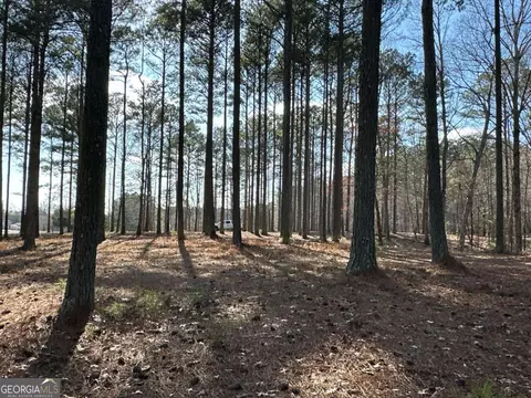 Other - 265 Evans Dr, Buchanan, GA 30113 photo 35 of 55