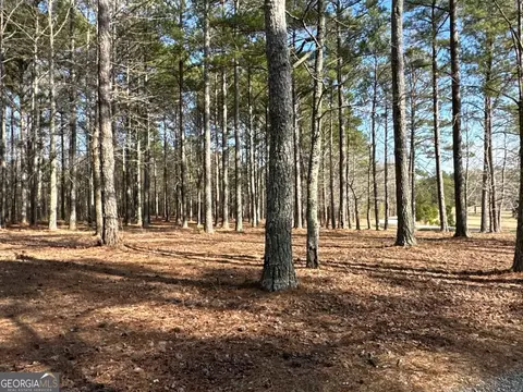 Other - 265 Evans Dr, Buchanan, GA 30113 photo 31 of 55