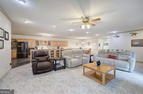 Other - 265 Evans Dr, Buchanan, GA 30113 photo 7 of 55