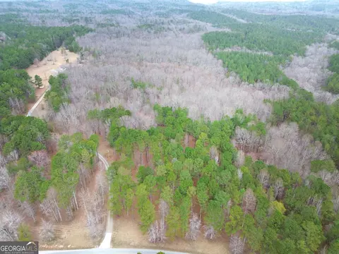 Other - 265 Evans Dr, Buchanan, GA 30113 photo 20 of 55