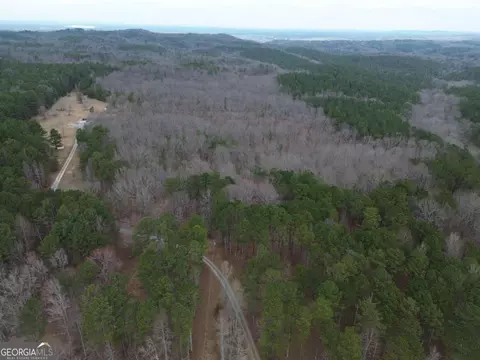 Other - 265 Evans Dr, Buchanan, GA 30113 photo 19 of 55