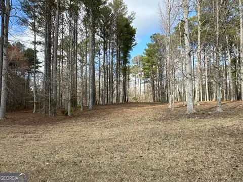 Other - 265 Evans Dr, Buchanan, GA 30113 photo 41 of 55