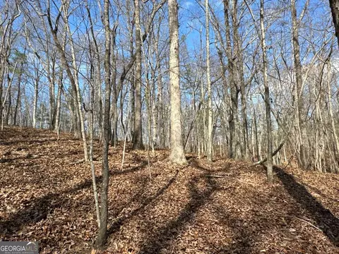 Other - 265 Evans Dr, Buchanan, GA 30113 photo 34 of 55
