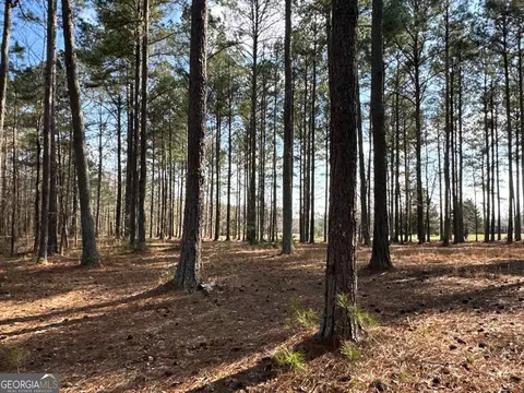 Other - 265 Evans Dr, Buchanan, GA 30113 photo 33 of 55