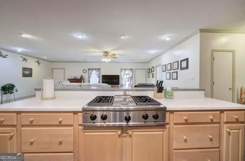 Kitchen - 265 Evans Dr, Buchanan, GA 30113 photo 5 of 8