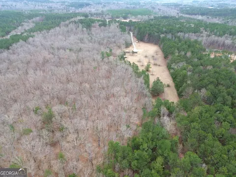 Other - 265 Evans Dr, Buchanan, GA 30113 photo 22 of 55
