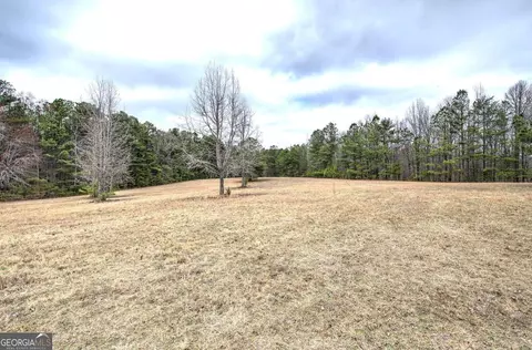Other - 265 Evans Dr, Buchanan, GA 30113 photo 16 of 55