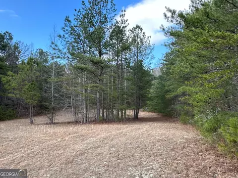 Other - 265 Evans Dr, Buchanan, GA 30113 photo 40 of 55