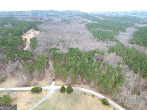View/Area - 265 Evans Dr, Buchanan, GA 30113 photo 3 of 7