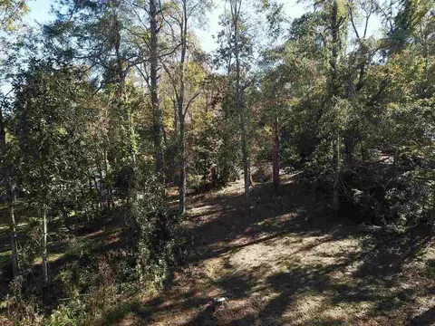 0 Maple St, Franklin, GA 30217 photo 3