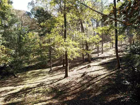0 Maple St, Franklin, GA 30217 photo 6