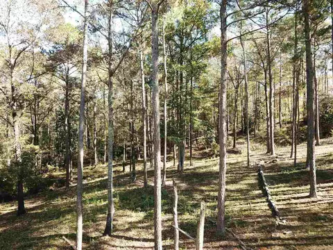 0 Maple St, Franklin, GA 30217 photo 7