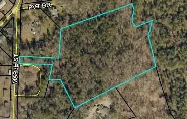 0 Maple St, Franklin, GA 30217 photo 19