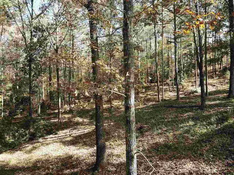 0 Maple St, Franklin, GA 30217 photo 14