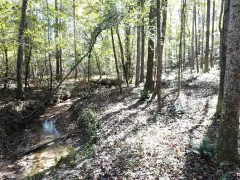 0 Maple St, Franklin, GA 30217 photo 13
