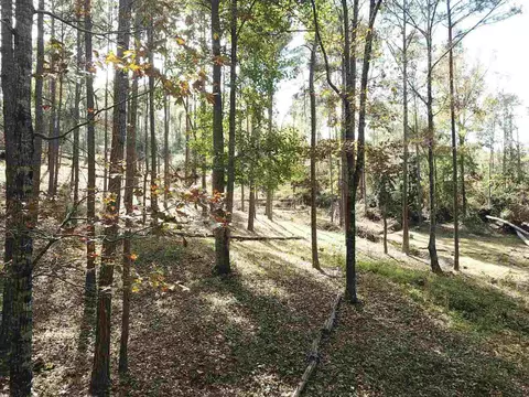 0 Maple St, Franklin, GA 30217 photo 18