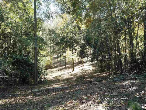 0 Maple St, Franklin, GA 30217 photo 4