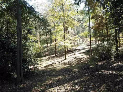 0 Maple St, Franklin, GA 30217 photo 5