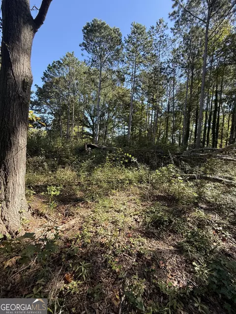 5666 Mcleod St, Lula, GA 30554 photo 12