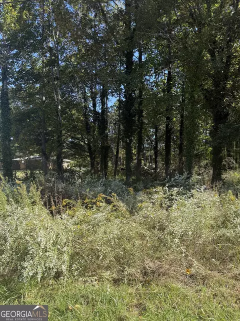 5666 Mcleod St, Lula, GA 30554 photo 8