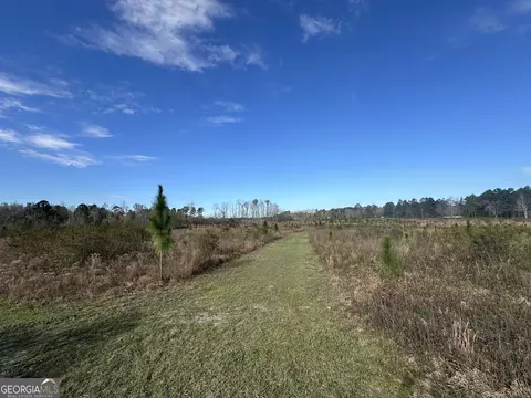 1334 Shady Ln, Sylvania, GA 30467