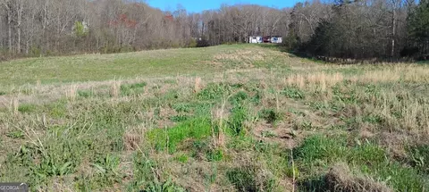 Other - 2331 Kesler Rd, Carnesville, GA 30521 photo 8 of 26