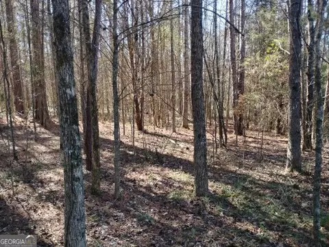 Other - 2331 Kesler Rd, Carnesville, GA 30521 photo 14 of 26