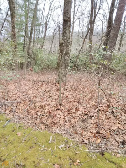 0 Honey Bear #LOT 10 & 11, Dillard, GA 30537