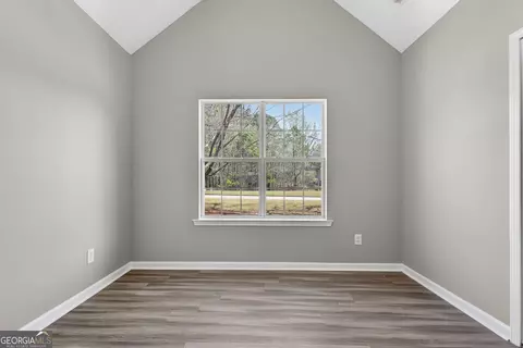 Other - 224 Stillwater Ct, Hampton, GA 30228 photo 11 of 21