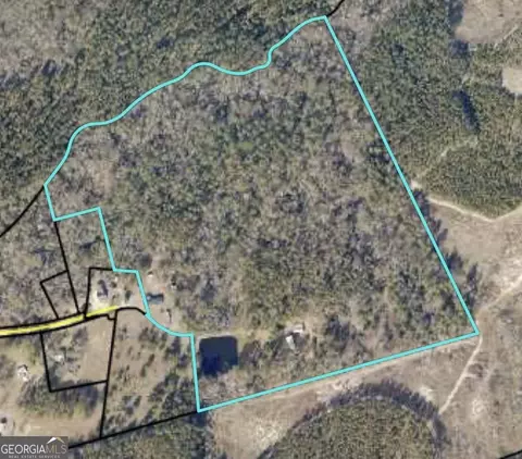 442 Fox Run Rd, Adrian, GA 31002