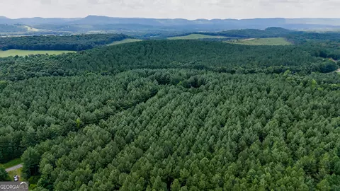 Tract 3 Back Valley Road, Lyerly, GA 30730
