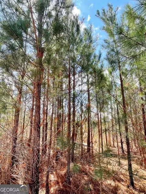 0 Brinkley Rd, Barnesville, GA 30204