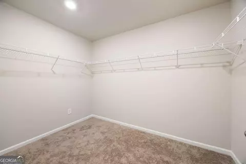 Other - 116 Cabin Way, Hampton, GA 30228 photo 10 of 12