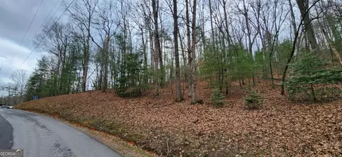 lot13 Mangums Trl, Blue Ridge, GA 30513