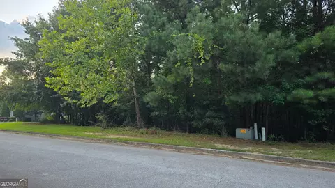 1628 Norris Landing Dr, Snellville, GA 30039