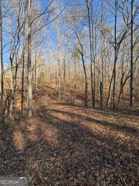0 Gold View Dr, Dahlonega, GA 30533