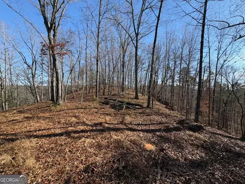 0 Lawrence Rd, Dawsonville, GA 30534