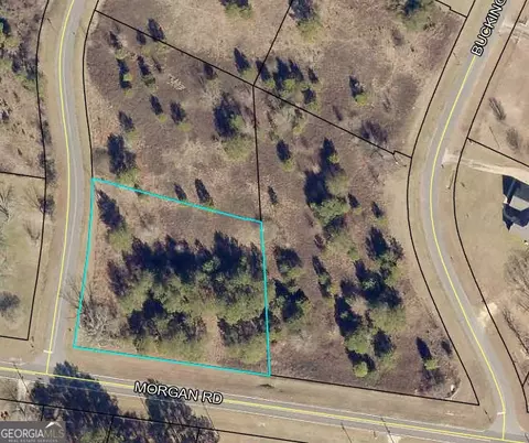 lot1 Buckingham Parc Cir, East Dublin, GA 31027