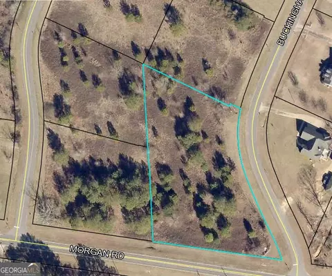 lot37 Buckingham Parc Cir, East Dublin, GA 31027