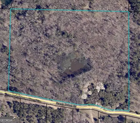 0 Branch Hebron Rd, Greenville, GA 30222