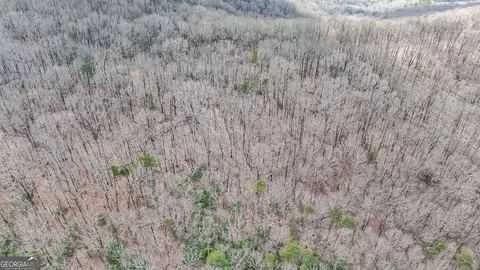 22 Andes Rdg, Jasper, GA 30143 photo 9