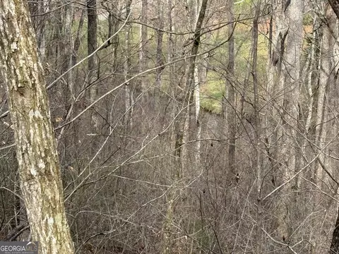 APT 15a Mossy Oaks Lane, Hiawassee, GA 30546