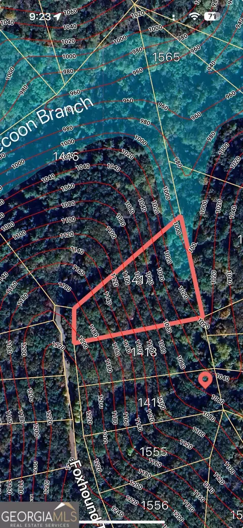 1417 Foxhound Trl NE, Ranger, GA 30734