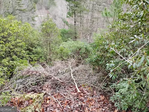 166 Shenendoa Drive #166, Ellijay, GA 30540