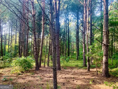 0 Pedenville Rd, Concord, GA 30206