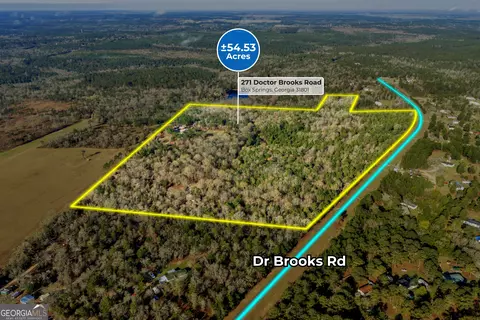 271 Dr Brooks Rd, Box Springs, GA 31801