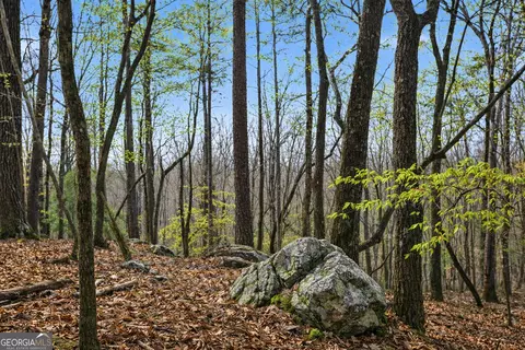 2335 Stonepile Rd #LOT 2, Clarkesville, GA 30523