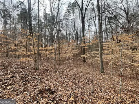 0 Us Hwy 100, Franklin, GA 30217